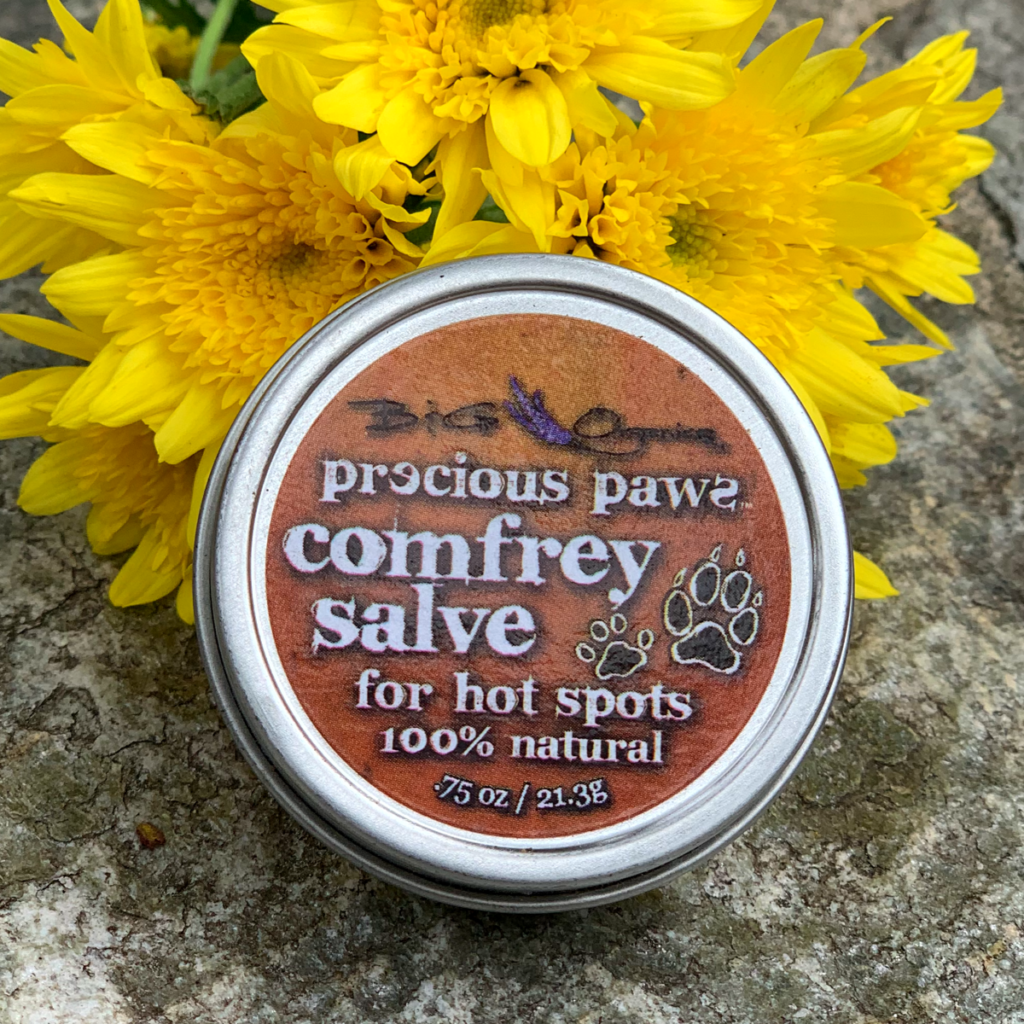 Precious Paws™ Comfrey Salve for Dogs B&G Organics